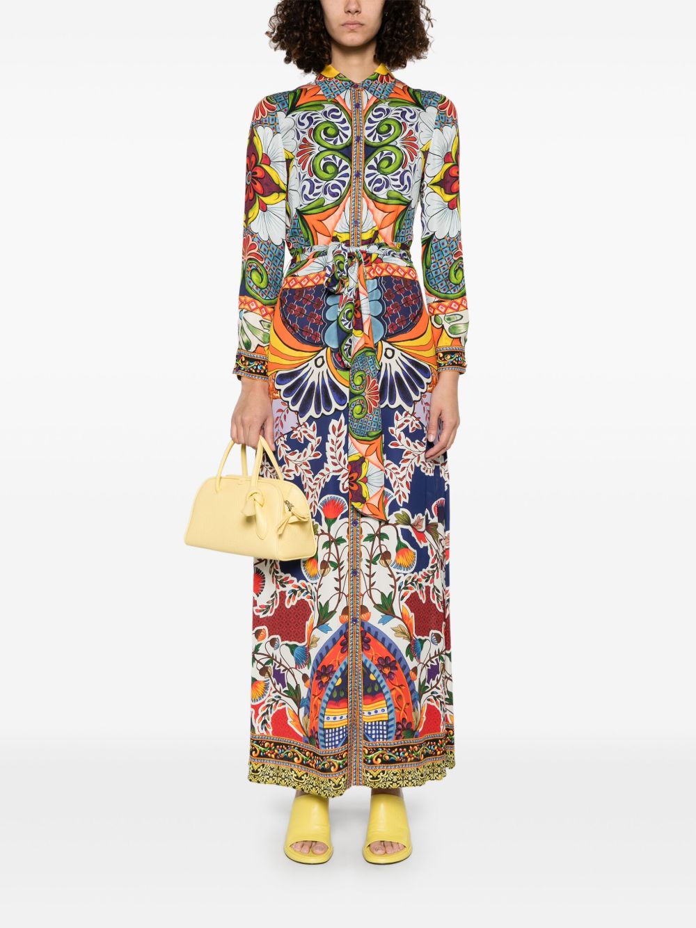 Alice + Olivia Chassidy printed shirt dress