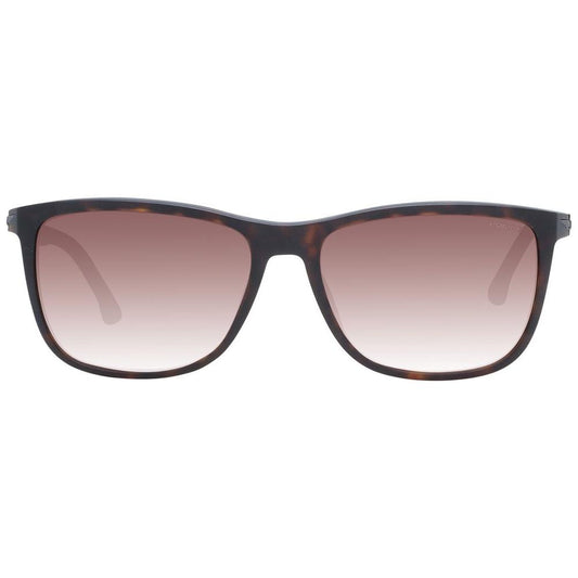 Brown Men Sunglasses