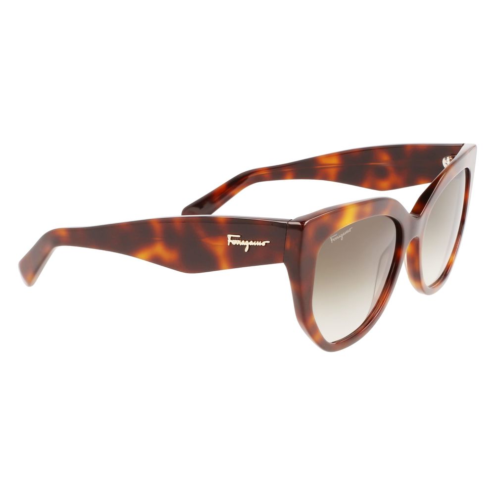 Ferragamo Brown Acetate Sunglasses Ferragamo