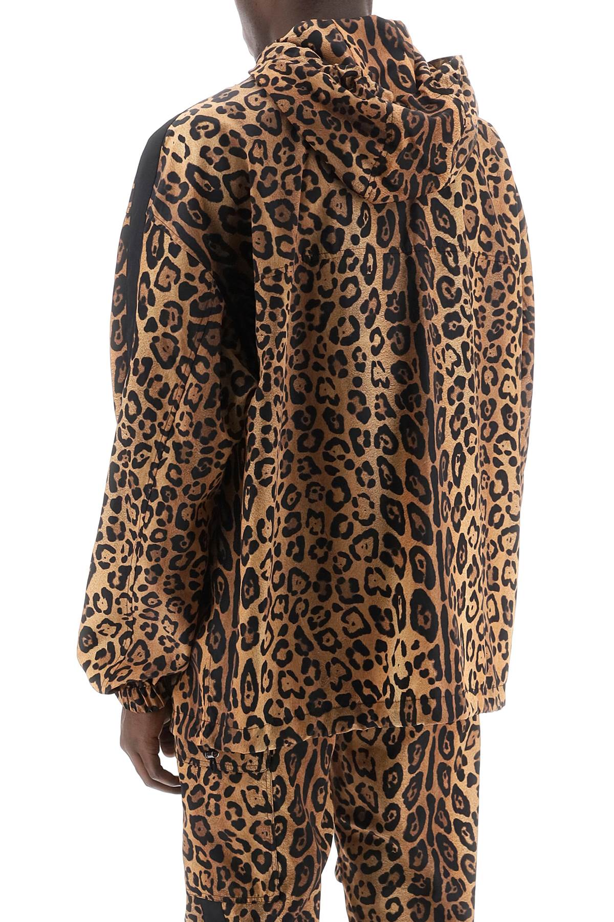 Dolce & Gabbana "leopard print nylon anor Jackets Dolce & Gabbana