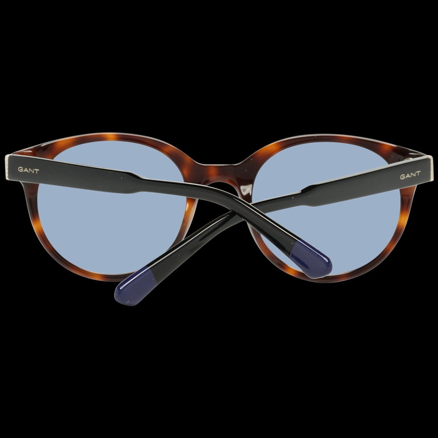 GANT MOD. GA8061 5156V SUNGLASSES & EYEWEAR GANT EYEWEAR