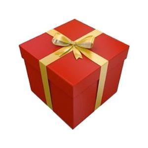 GIFT WRAPPING / CONFEZIONE REGALO / PAQUET CADEAUX / PAQUETE REGALO
