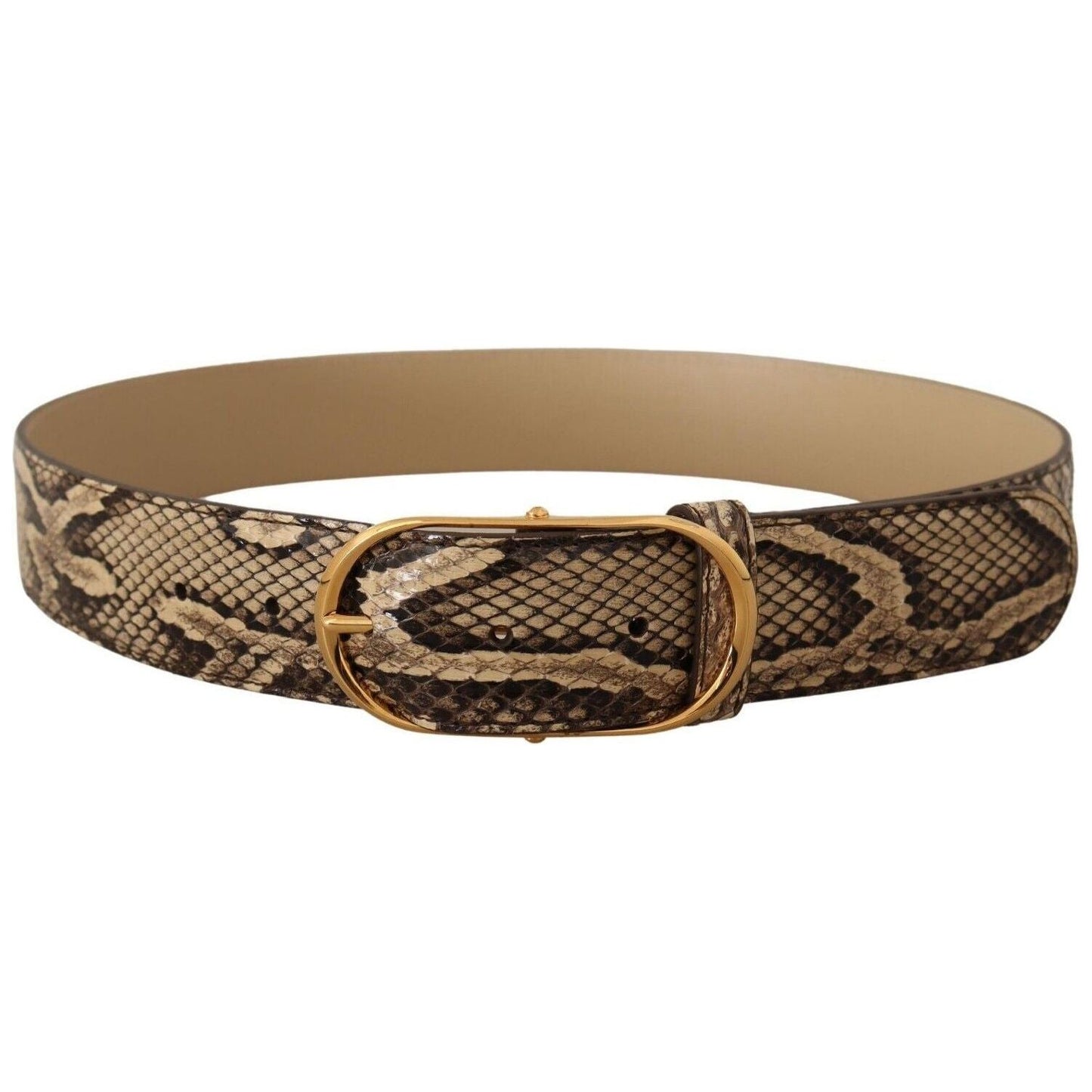 Dolce & Gabbana | Brown Exotic Leather Gold Oval Buckle Belt WOMAN BELTS | McRichard Designer Brands