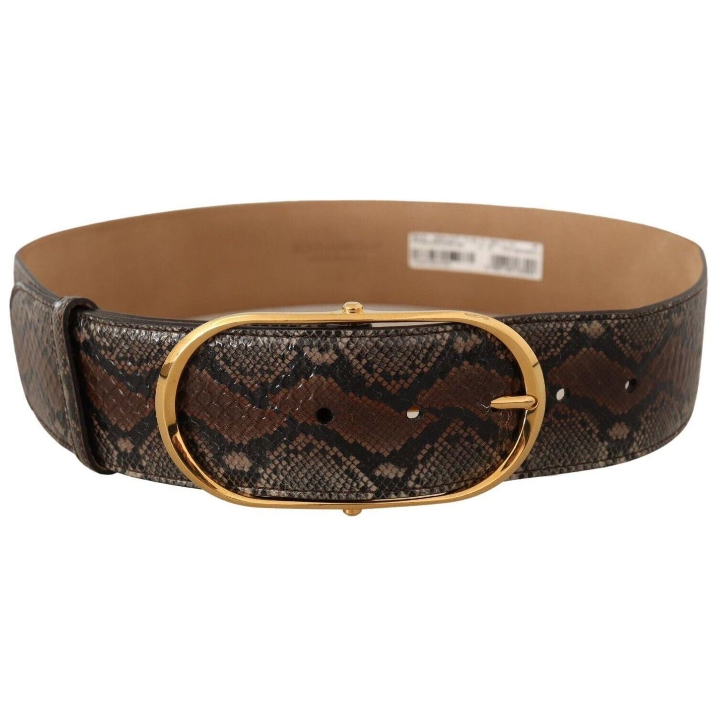 Dolce & Gabbana | Brown Exotic Leather Gold Oval Buckle Belt WOMAN BELTS | McRichard Designer Brands